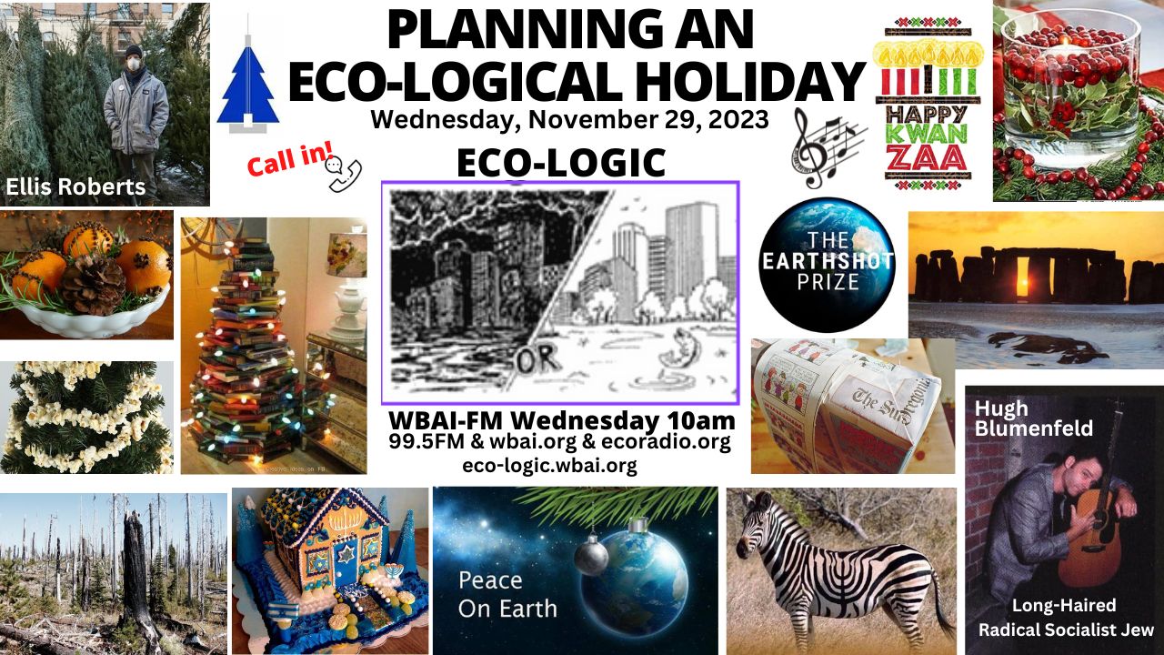 meme Eco-Logic 11-29-23 Eco-Holiday