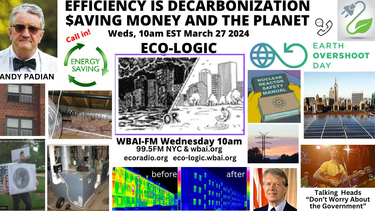 meme Eco-Logic 3-27-24 Efficiency Is Decarbonization Saving Money and the Planet