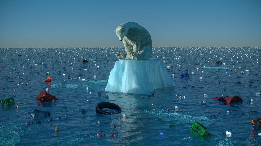 Polar Bear looking at Plastic Garbage