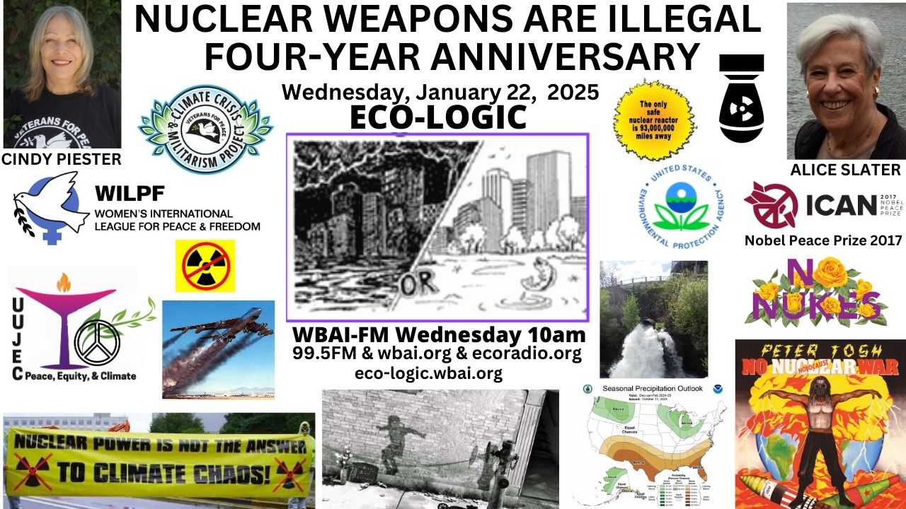 meme 1-22-25 Eco-Logic Nuke Weapons Treaty