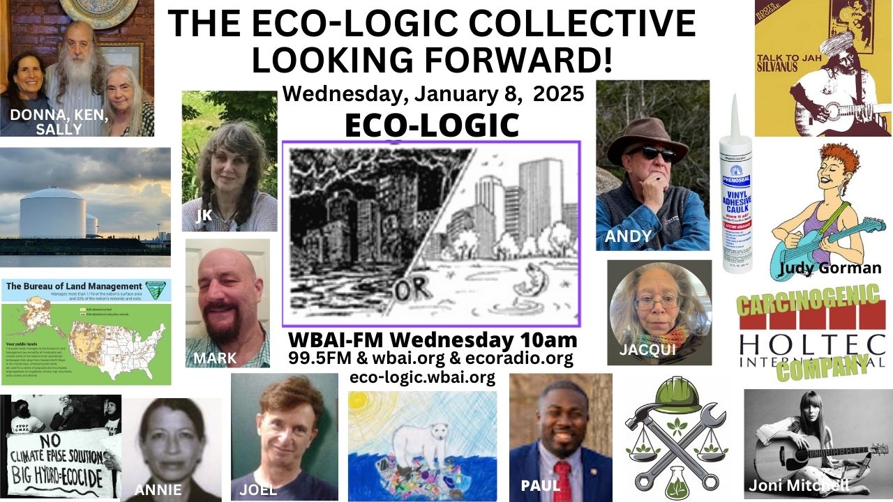 meme 1-8-25 Eco-Logic Collective Looking Forward