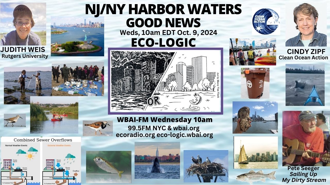 meme Eco-Logic 10-09-24 NJNY Harbor