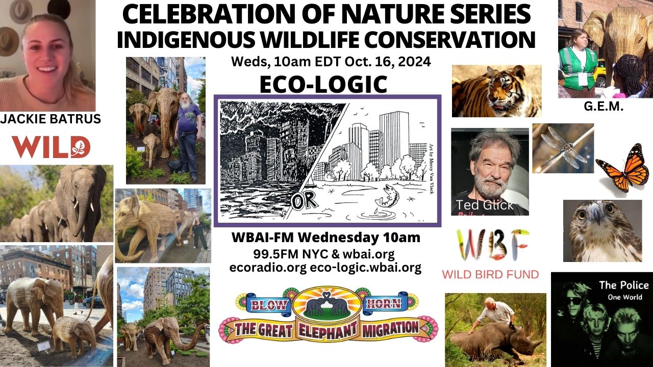 meme Eco-Logic 10-16-24 Indigenous Wildlife Conservation