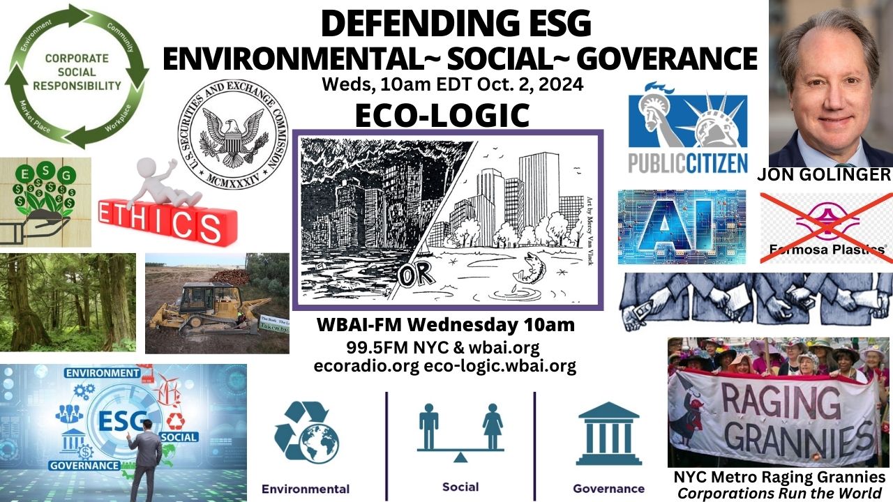 meme Eco-Logic 10-2-24 Defending ESG