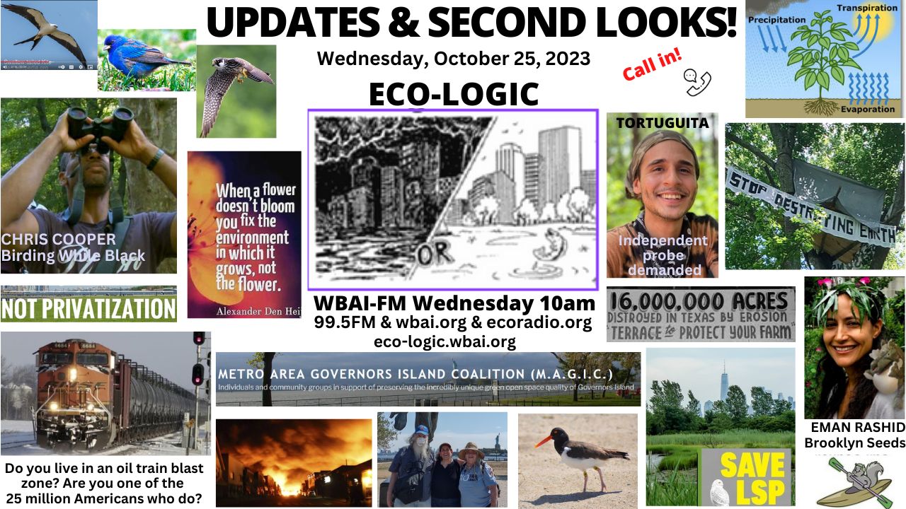 meme Eco-Logic 10-25-23 Updates and Second Looks 2023