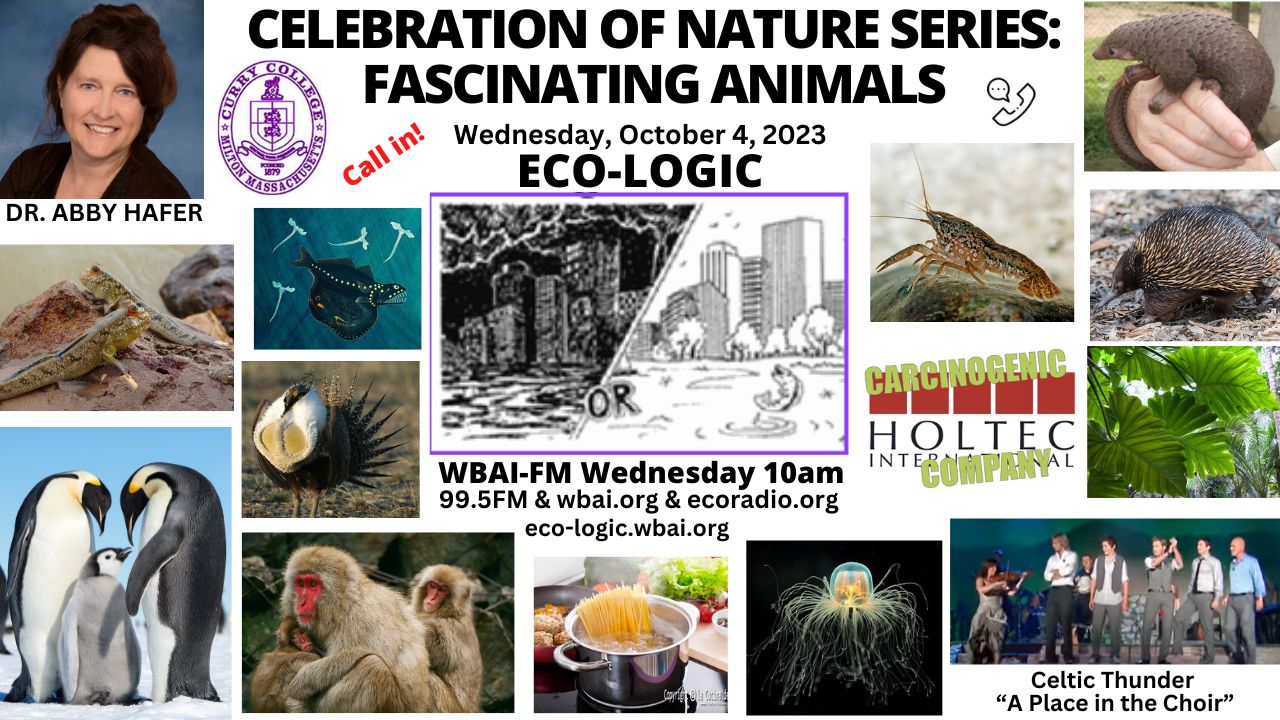meme Eco-Logic 10-4-23 Fascinating Animals