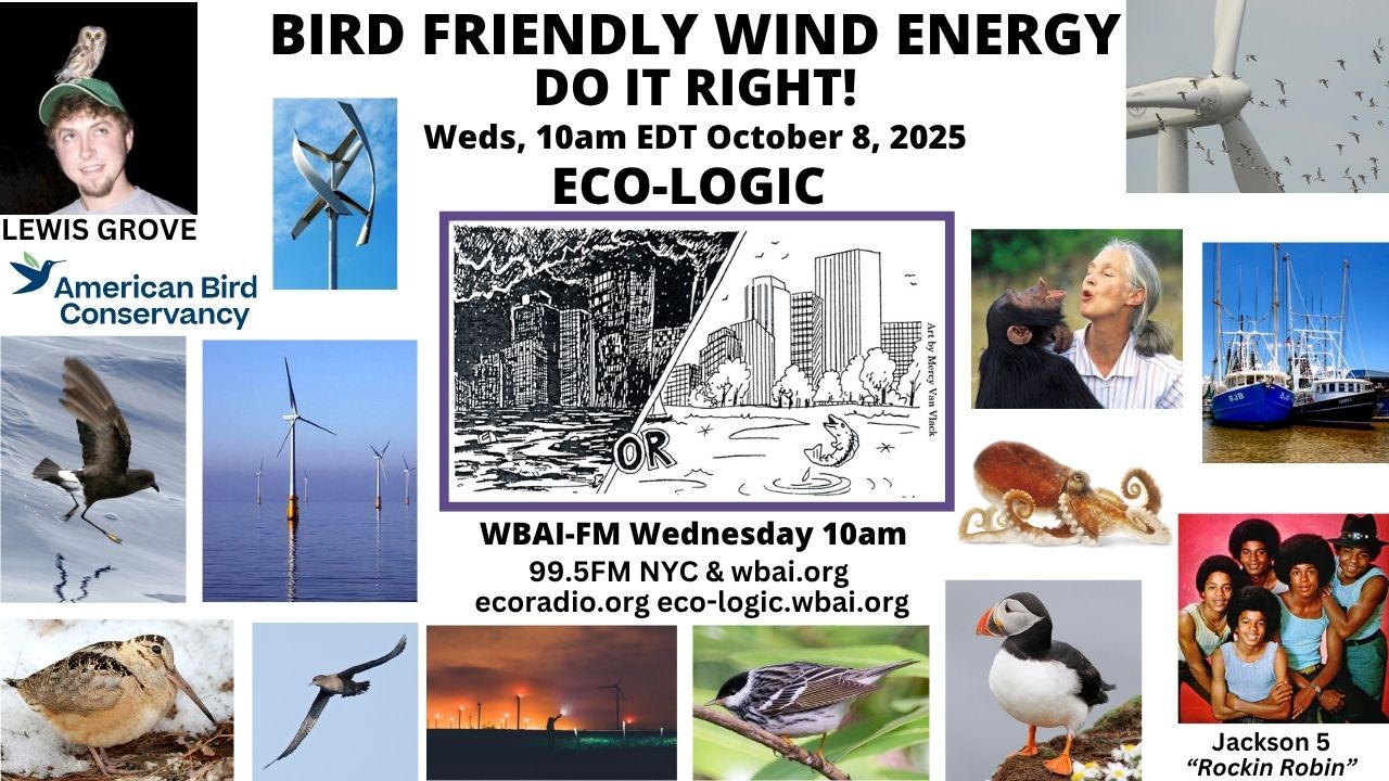 meme Eco-Logic 10-8-25 Bird Friendly Wind Energy