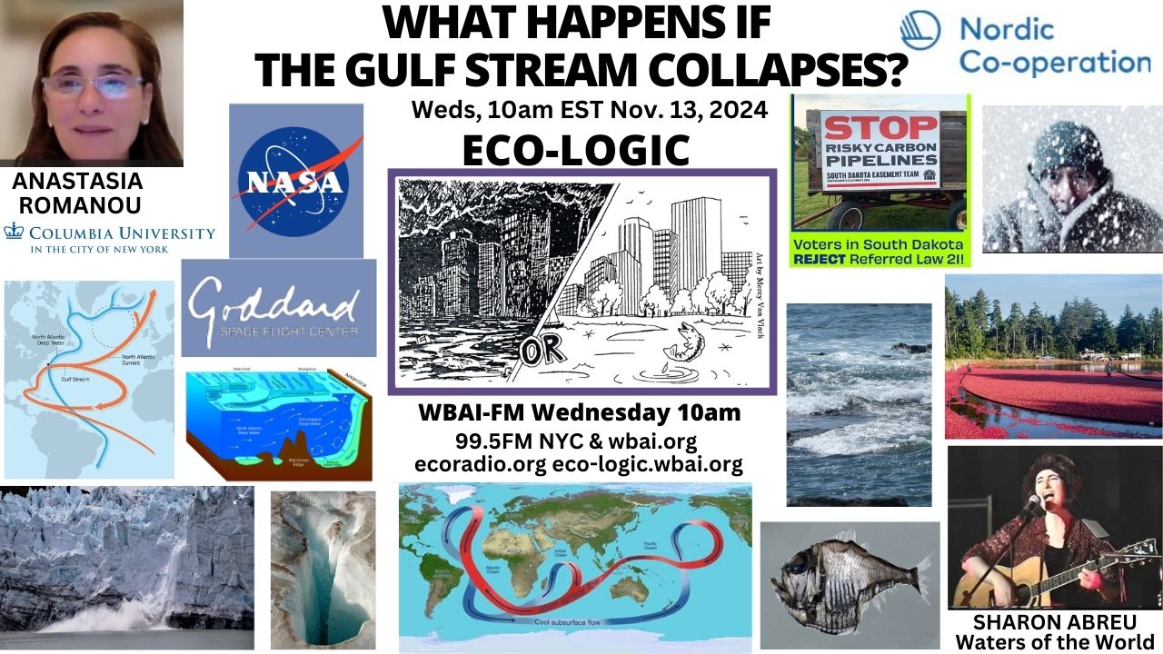 meme Eco-Logic 11-13-24 Gulf Stream