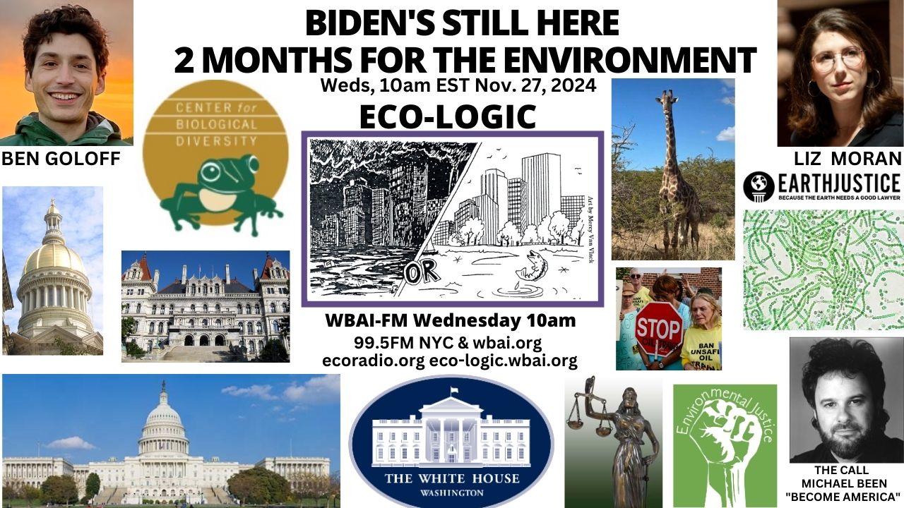 meme Eco-Logic 11-27-24 Biden 2 Months