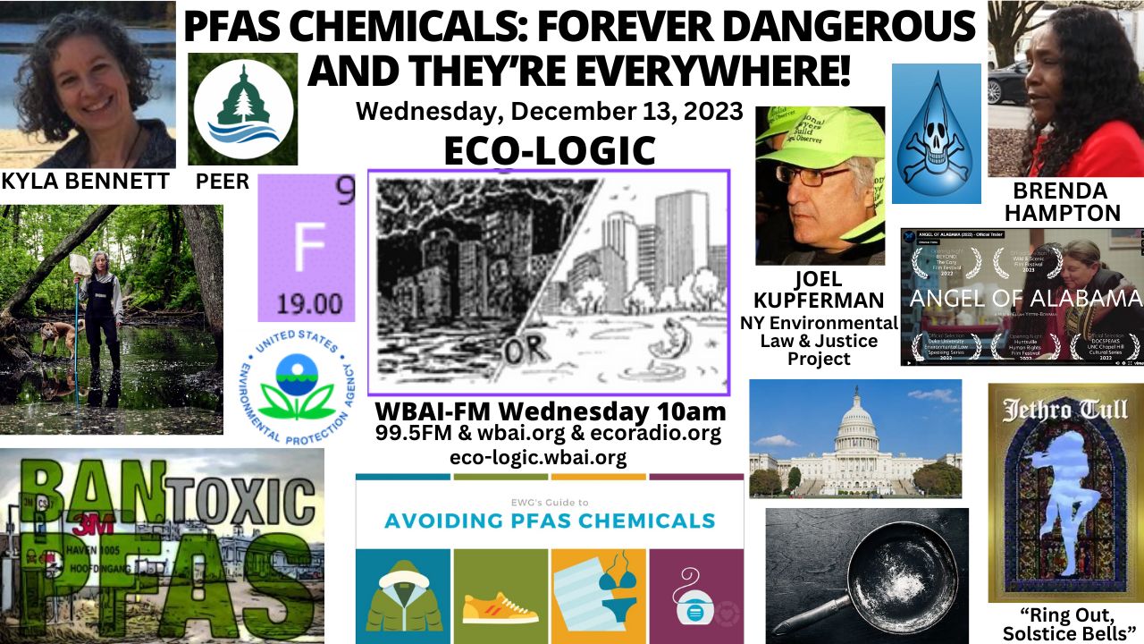 meme Eco-Logic 12-13-23 PFAS Chemicals Explained