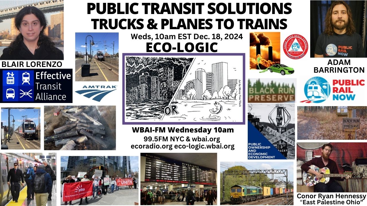 meme Eco-Logic 12-18-24 Public Transit Solutions