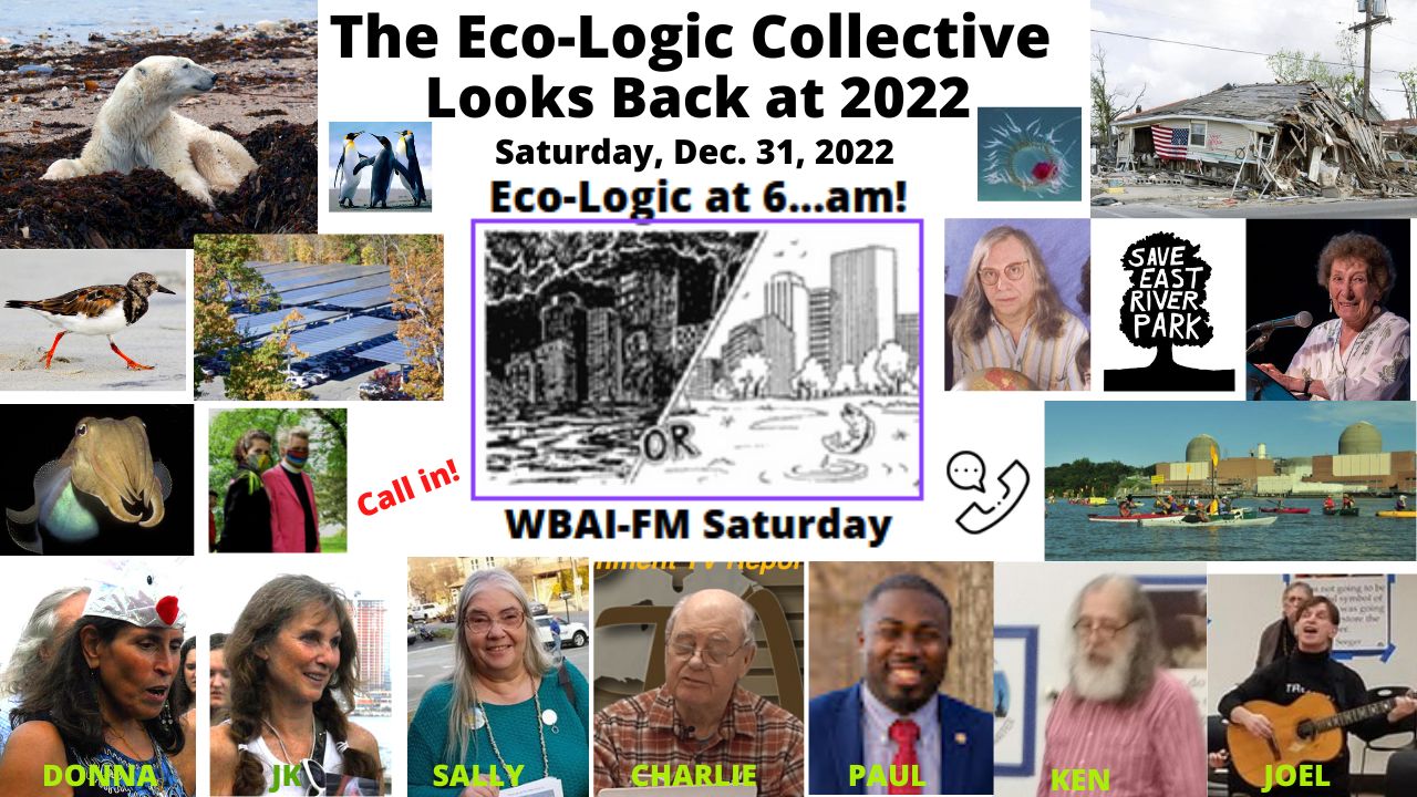 meme 12-31-22 Eco-Logic Collective Looks Back at 2022