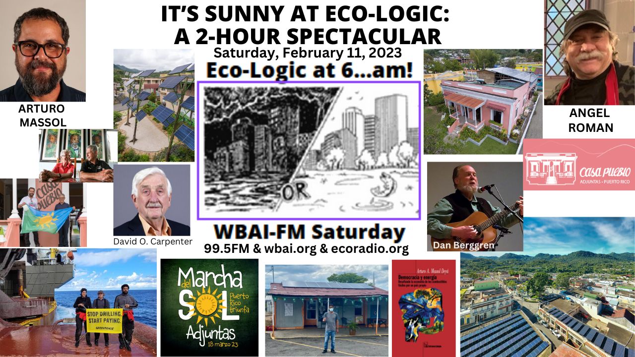 meme Eco-Logic 2-11-23 2-Hour Solar Special