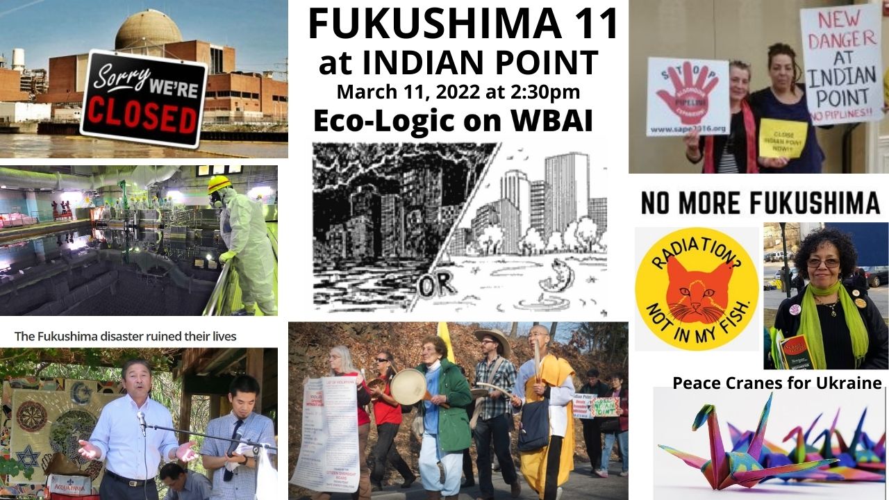 meme 3-11-22 Eco-Logic Fukushima 11 years