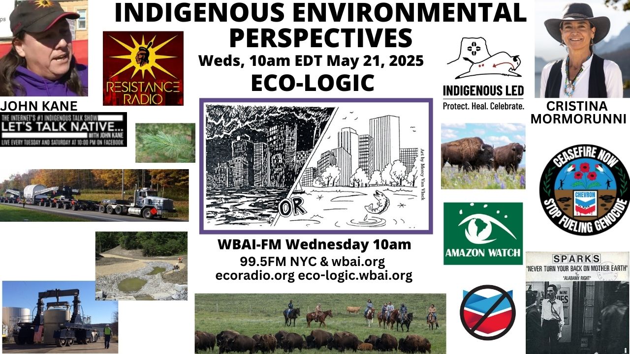 meme Eco-Logic 5-21-25 Indigenous Environmentalism