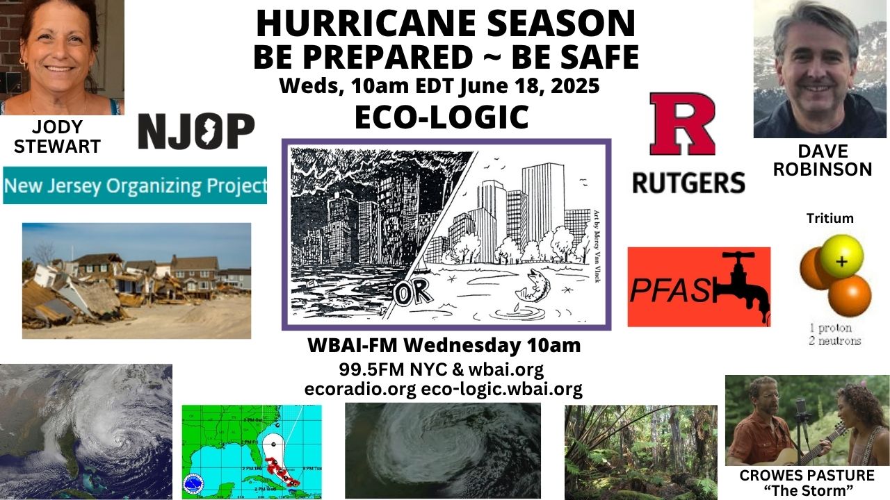 meme Eco-Logic 6-18-25 Hurricanes