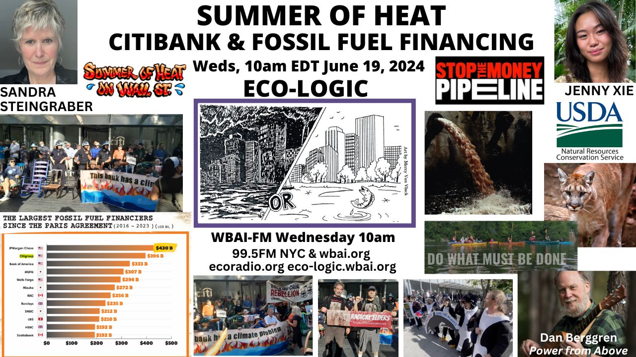 meme Eco-Logic 6-19-24 Summer of Heat