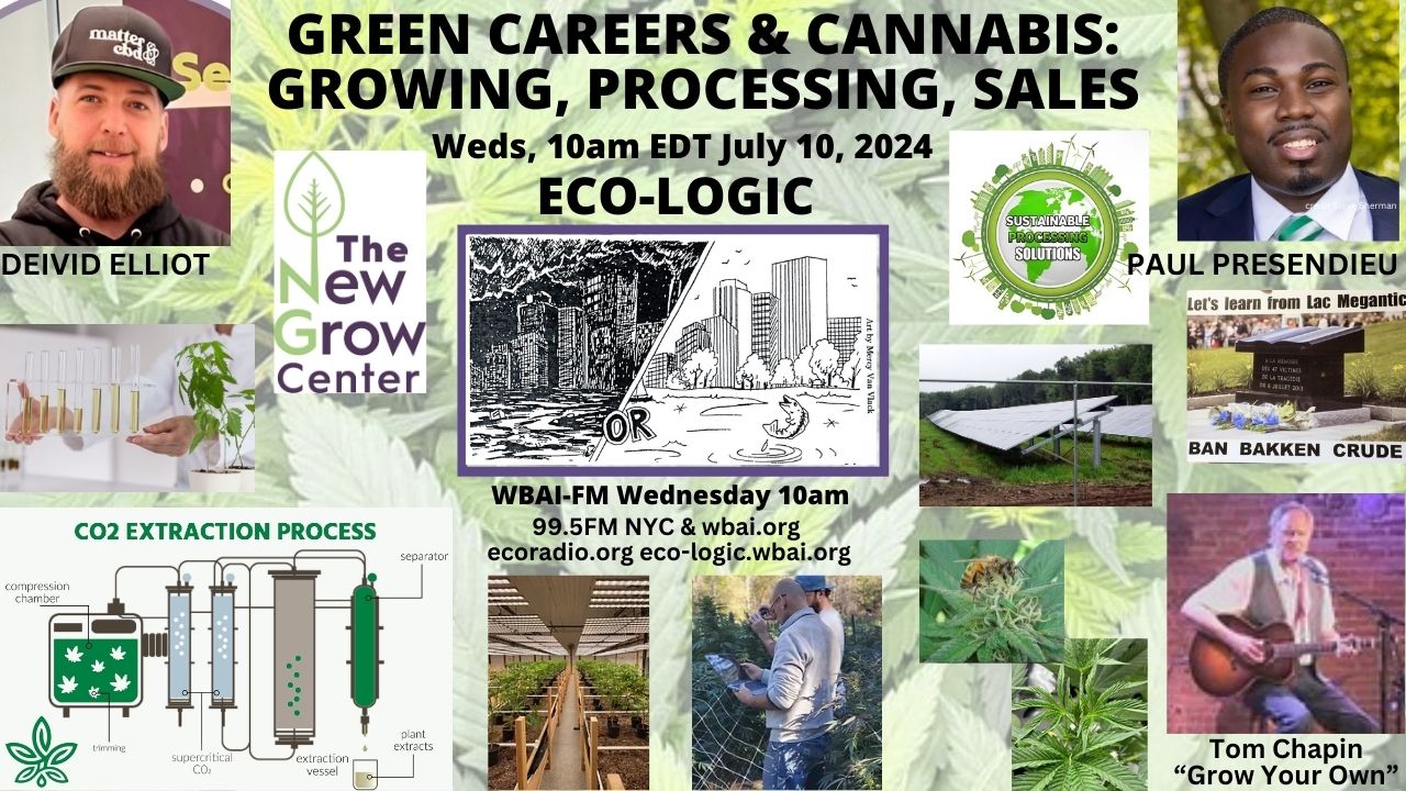 meme Eco-Logic 7-10-24 Green Jobs Cannabis