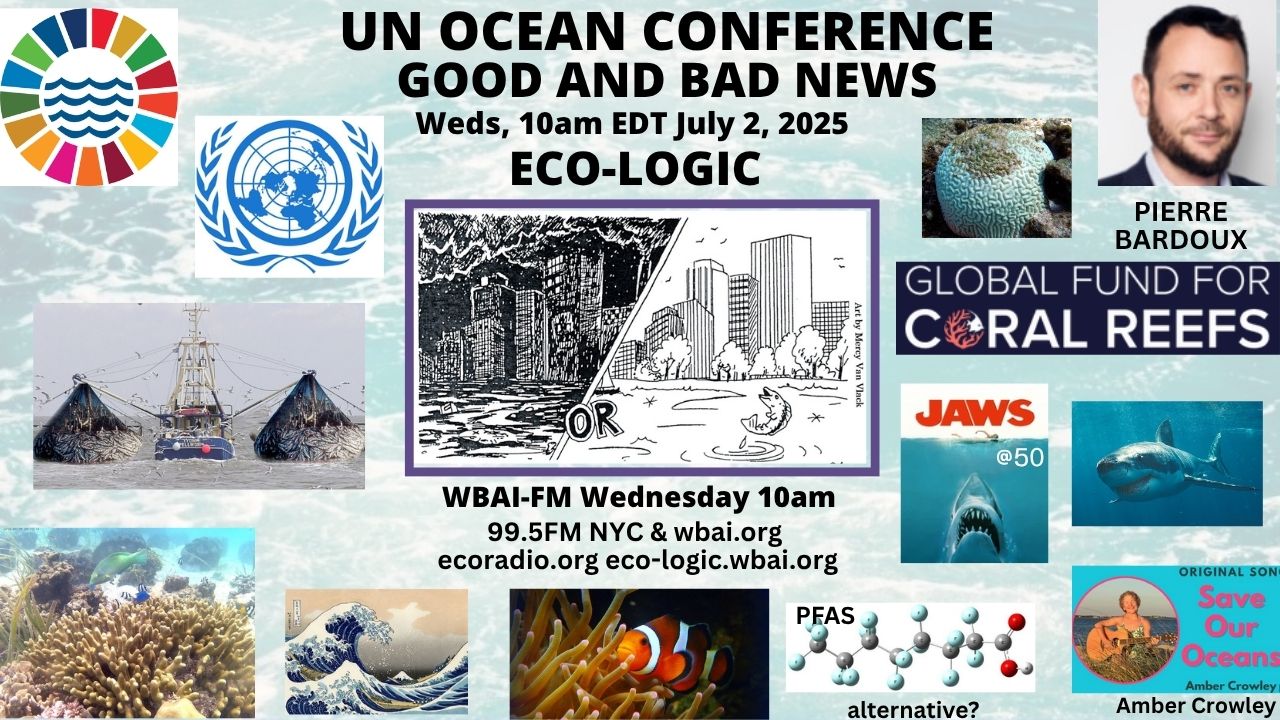meme Eco-Logic 7-2-25 Ocean Conference