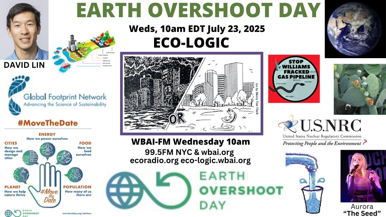 meme Eco-Logic 7-23-25 Earth Overshoot Day
