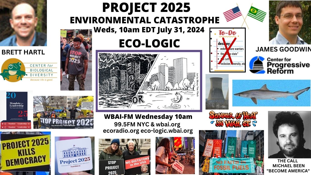 meme Eco-Logic 7-31-24 Project 2025