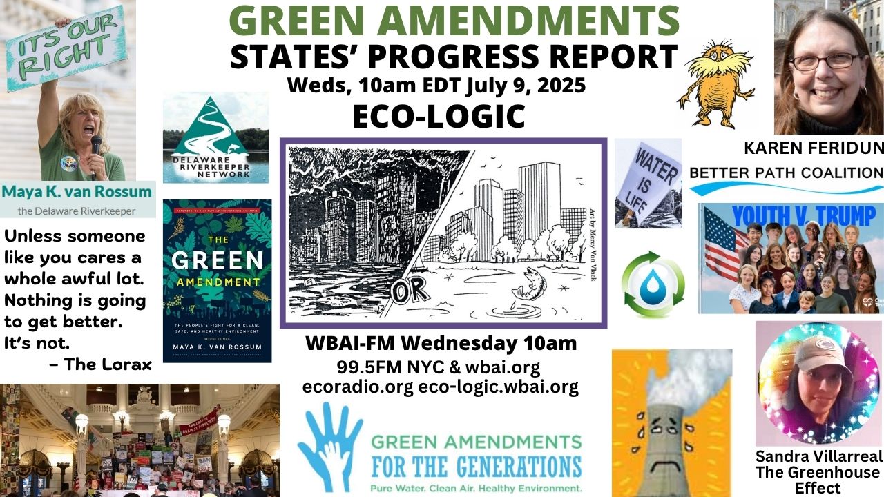 meme Eco-Logic 7-9-25 Green Amendments