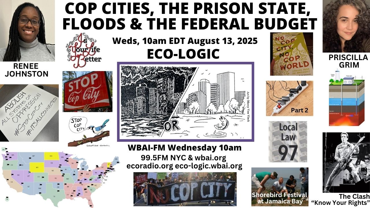 meme Eco-Logic 8-13-25 Cop City