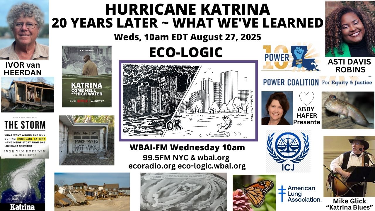 meme Eco-Logic 8-27-25 Hurricane Katrina 20 Years