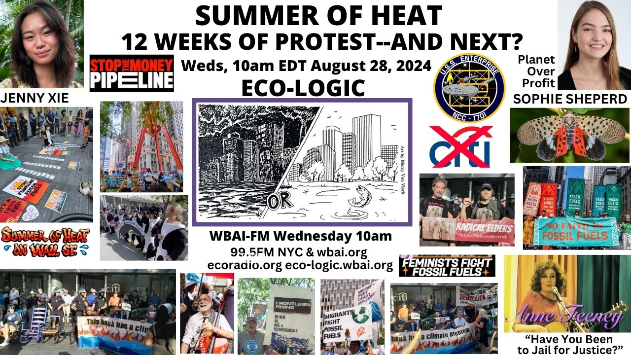 meme Eco-Logic 8-28-24 Summer of Heat 12 Weeks