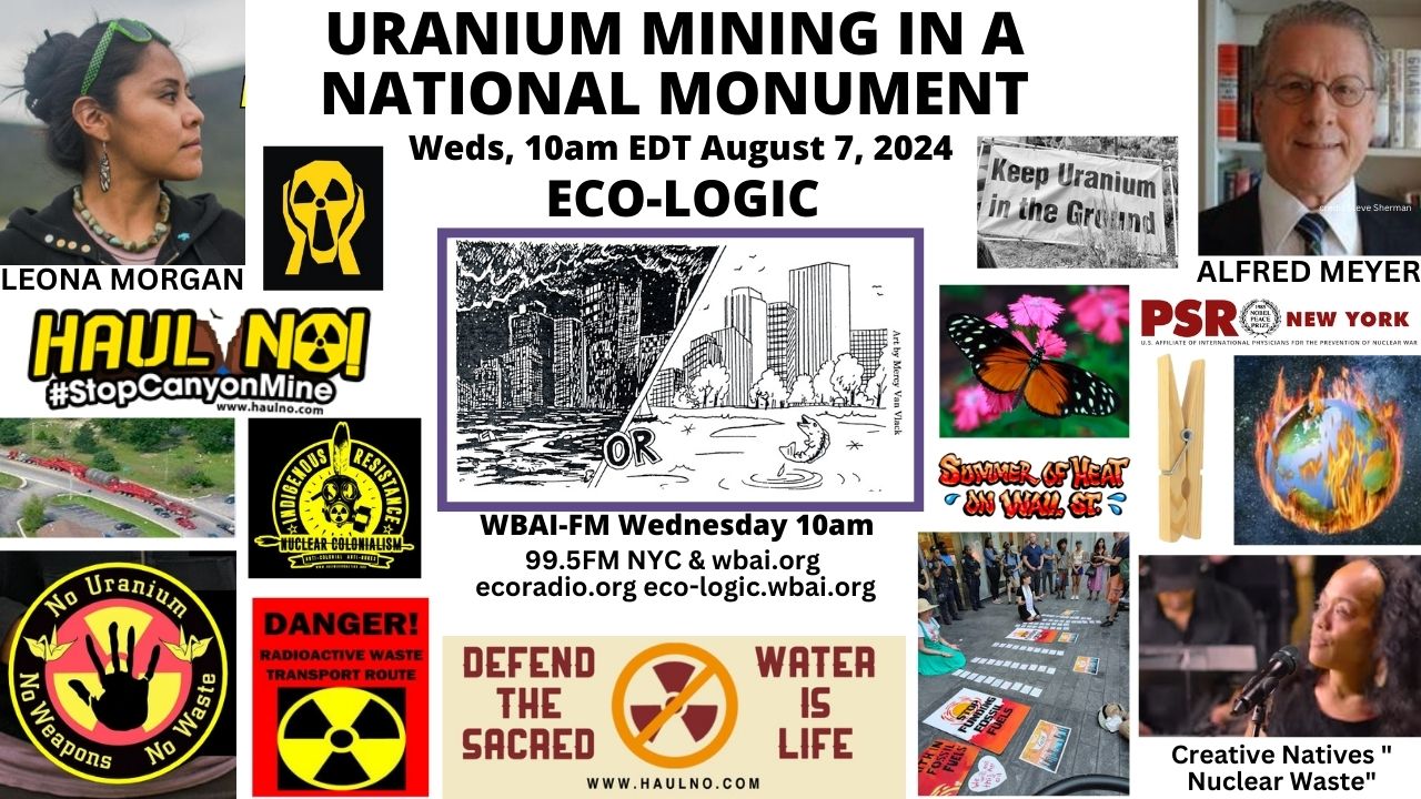 meme Eco-Logic 8-7-24 Uranium Mining in a National Monument