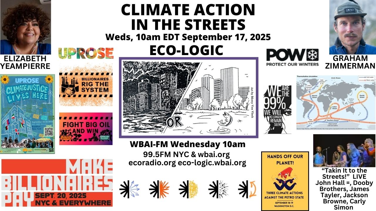 meme Eco-Logic 9-17-25 Climate Action In the Streets