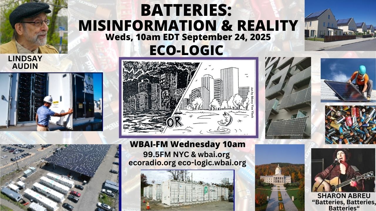 meme Eco-Logic 9-24-25 Batteries - Misinformation & Reality
