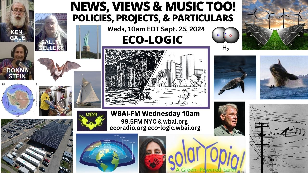 meme Eco-Logic 9-25-24 All News