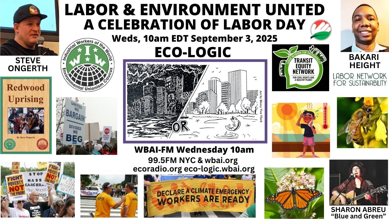 meme Eco-Logic 9-3-25 Labor and Environment