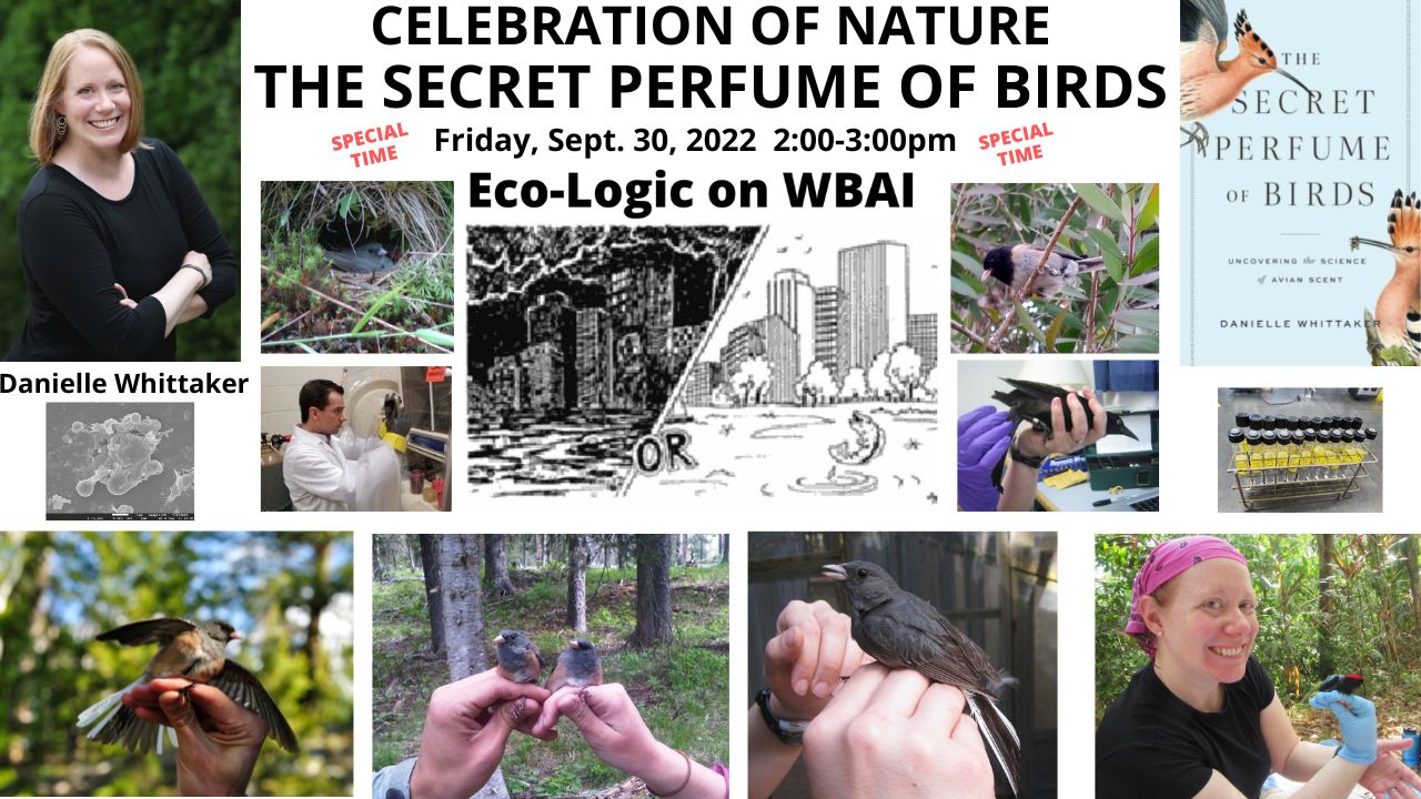 Eco-Logic meme 9-30-22 Perfume of Birds