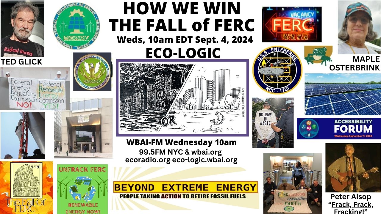 meme Eco-Logic meme 9-4-24 FERC