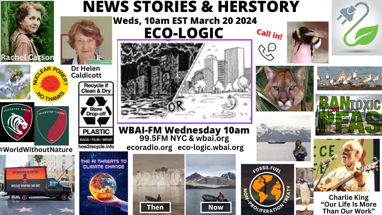 meme Eco-Logic 3-20-24 News Stories